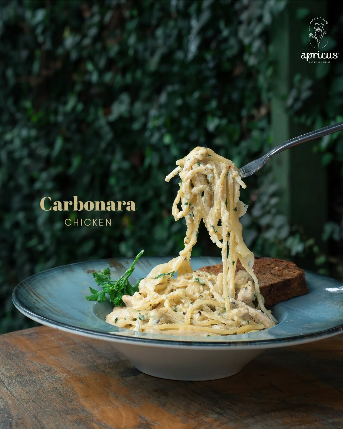 Apricus Cafe