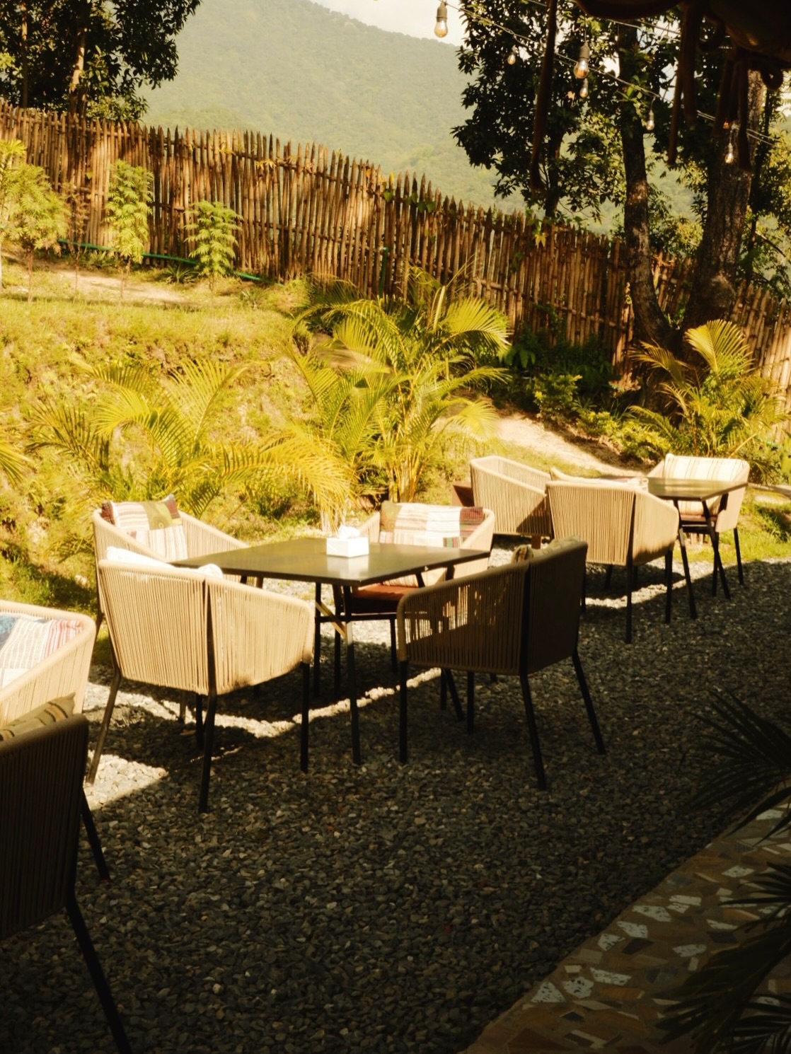 Tropical Rest & Camp